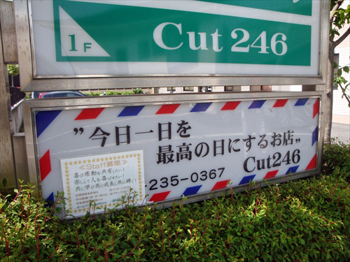 cut246_1　看板